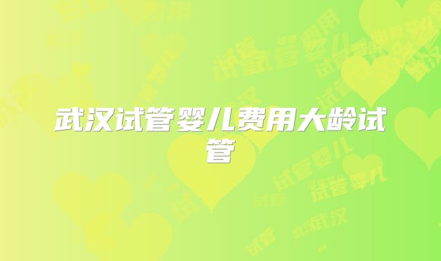 武汉试管婴儿费用大龄试管