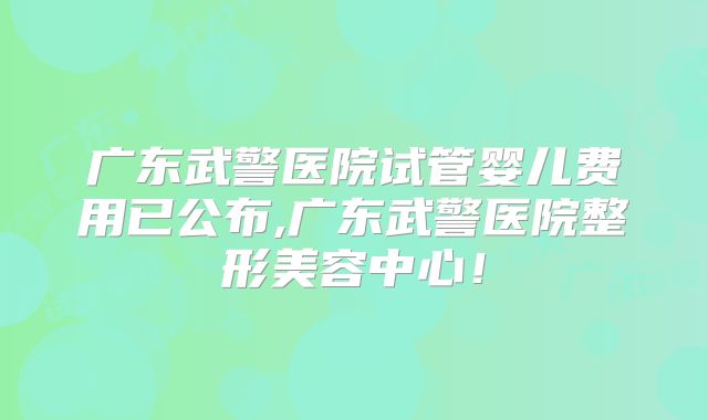 广东武警医院试管婴儿费用已公布,广东武警医院整形美容中心!