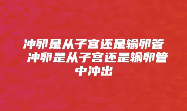 冲卵是从子宫还是输卵管 冲卵是从子宫还是输卵管中冲出
