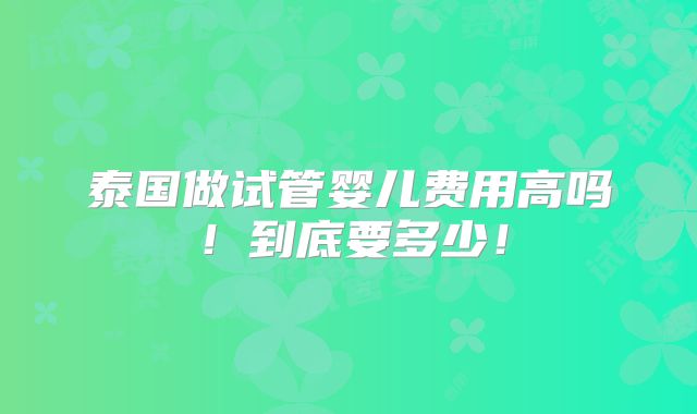 泰国做试管婴儿费用高吗!到底要多少!