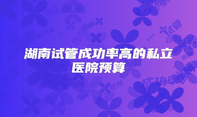 湖南试管成功率高的私立医院预算