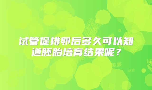 试管促排卵后多久可以知道胚胎培育结果呢？