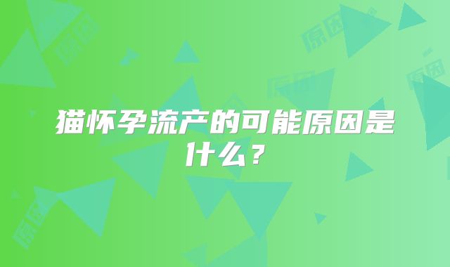 猫怀孕流产的可能原因是什么？