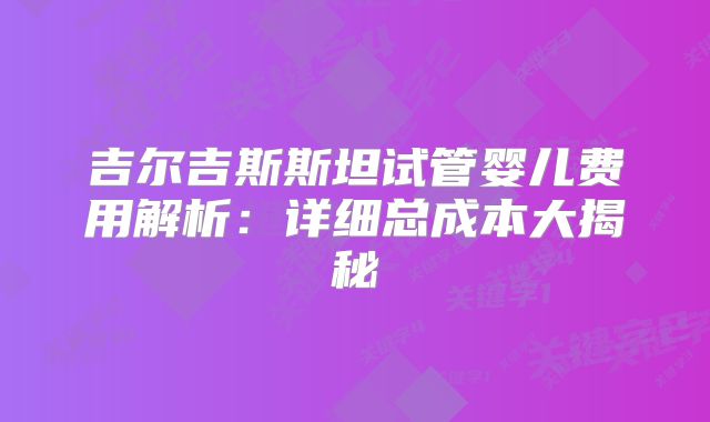 吉尔吉斯斯坦试管婴儿费用解析：详细总成本大揭秘