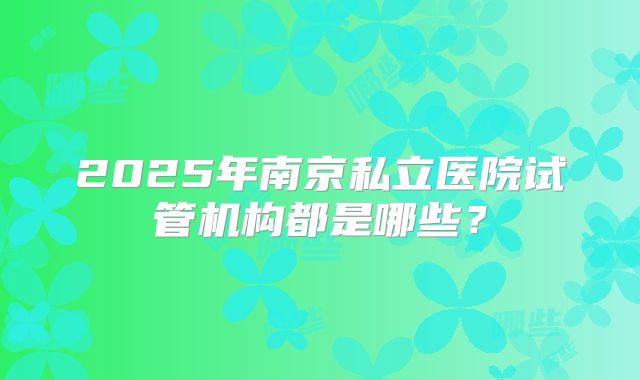 2025年南京私立医院试管机构都是哪些？