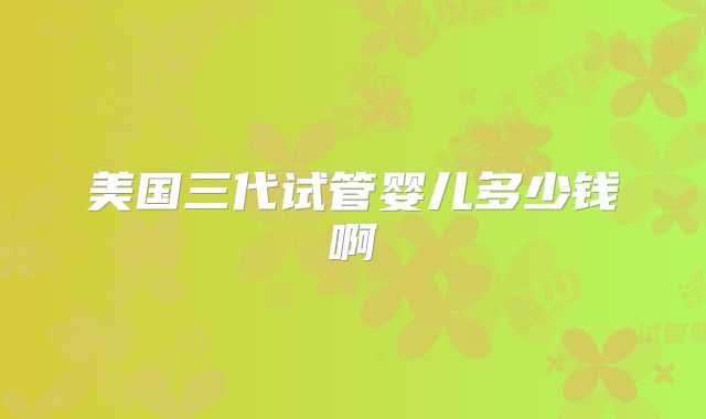 美国三代试管婴儿多少钱啊