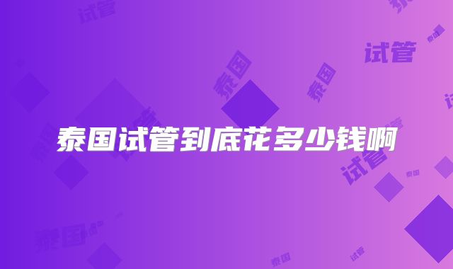泰国试管到底花多少钱啊