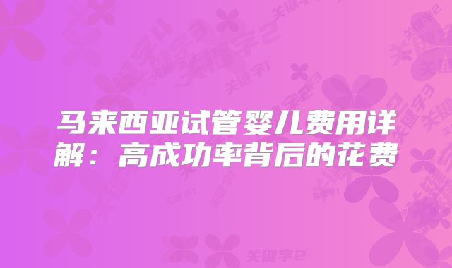 马来西亚试管婴儿费用详解：高成功率背后的花费