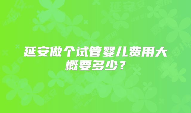 延安做个试管婴儿费用大概要多少？