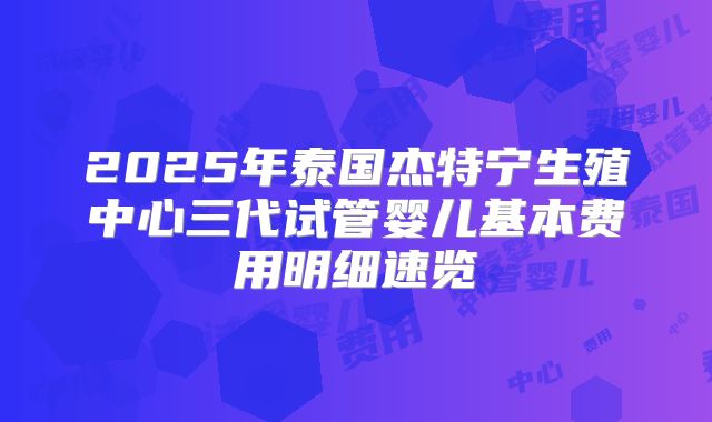2025年泰国杰特宁生殖中心三代试管婴儿基本费用明细速览