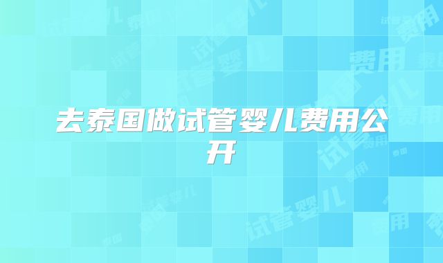 去泰国做试管婴儿费用公开