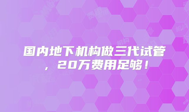 国内地下机构做三代试管，20万费用足够！