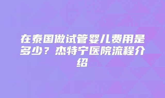 在泰国做试管婴儿费用是多少？杰特宁医院流程介绍