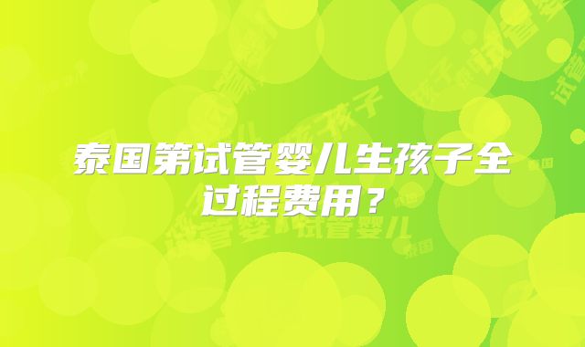 泰国第试管婴儿生孩子全过程费用？