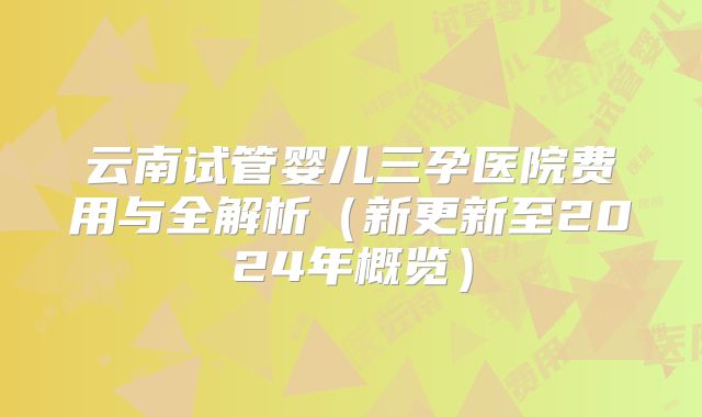 云南试管婴儿三孕医院费用与全解析（新更新至2024年概览）