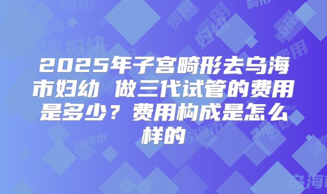 2025年子宫畸形去乌海市妇幼 做三代试管的费用是多少？费用构成是怎么样的