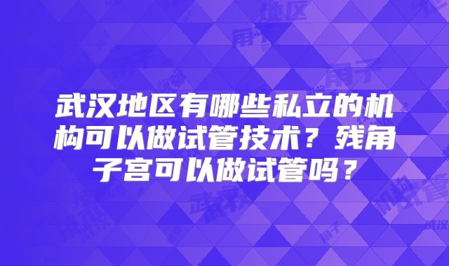 武汉地区有哪些私立的机构可以做试管技术？残角子宫可以做试管吗？