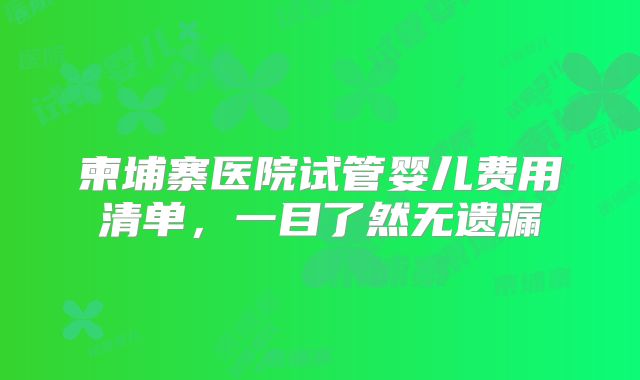 柬埔寨医院试管婴儿费用清单，一目了然无遗漏