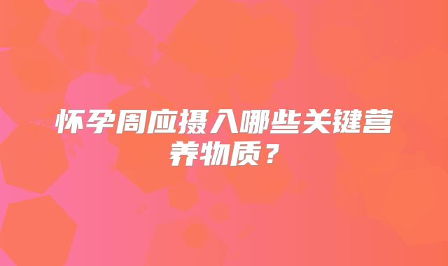 怀孕周应摄入哪些关键营养物质?