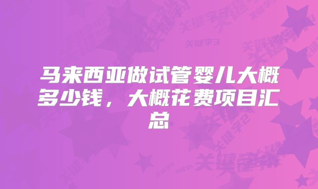 马来西亚做试管婴儿大概多少钱，大概花费项目汇总