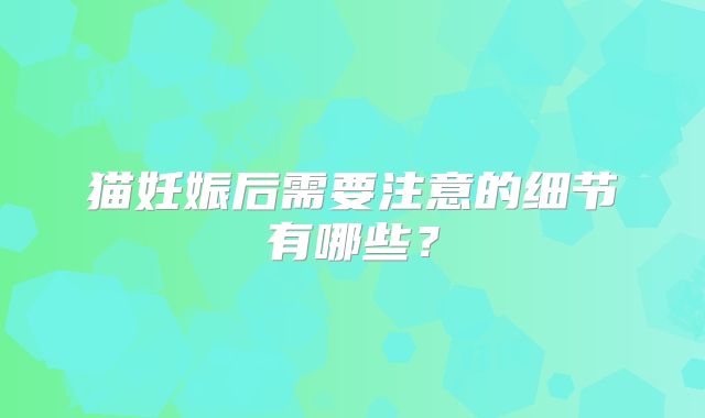 猫妊娠后需要注意的细节有哪些？