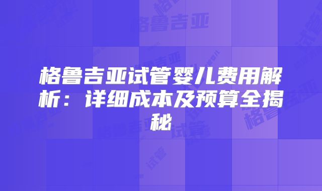 格鲁吉亚试管婴儿费用解析：详细成本及预算全揭秘