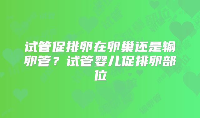 试管促排卵在卵巢还是输卵管?试管婴儿促排卵部位