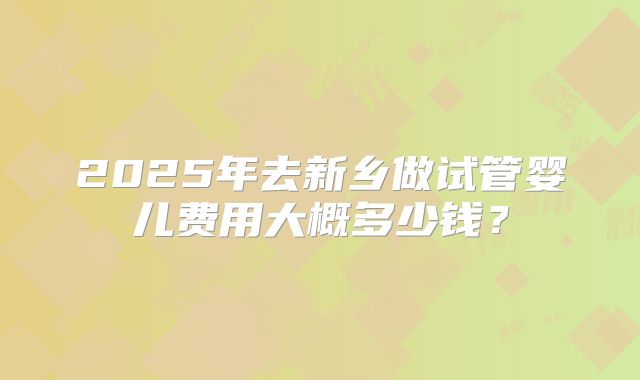 2025年去新乡做试管婴儿费用大概多少钱？
