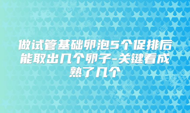 做试管基础卵泡5个促排后能取出几个卵子-关键看成熟了几个