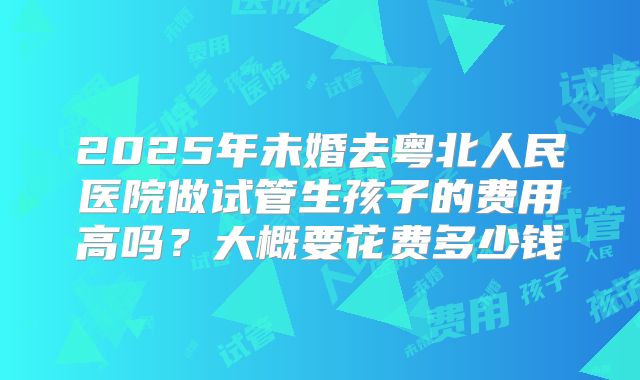 2025年未婚去粤北人民医院做试管生孩子的费用高吗?大概要花费多少钱