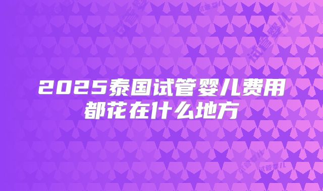 2025泰国试管婴儿费用都花在什么地方