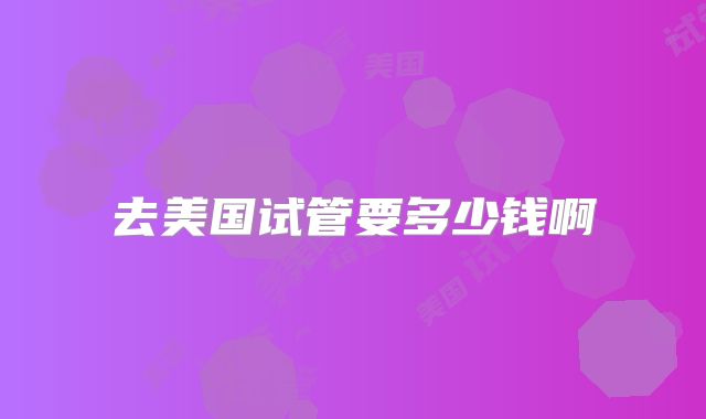 去美国试管要多少钱啊