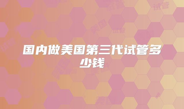国内做美国第三代试管多少钱