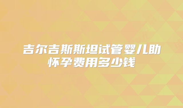 吉尔吉斯斯坦试管婴儿助怀孕费用多少钱