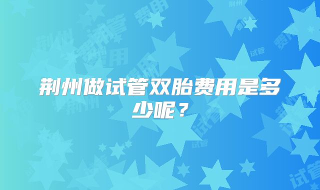荆州做试管双胎费用是多少呢？