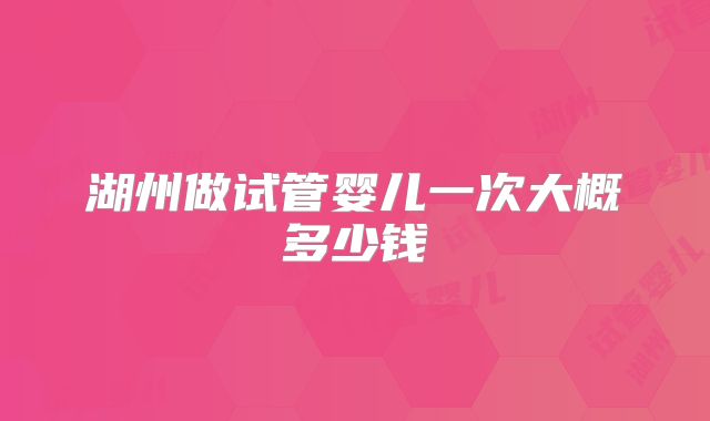 湖州做试管婴儿一次大概多少钱