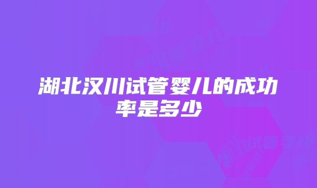 湖北汉川试管婴儿的成功率是多少