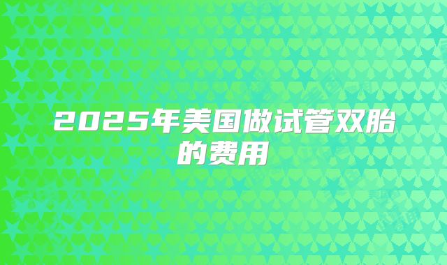 2025年美国做试管双胎的费用