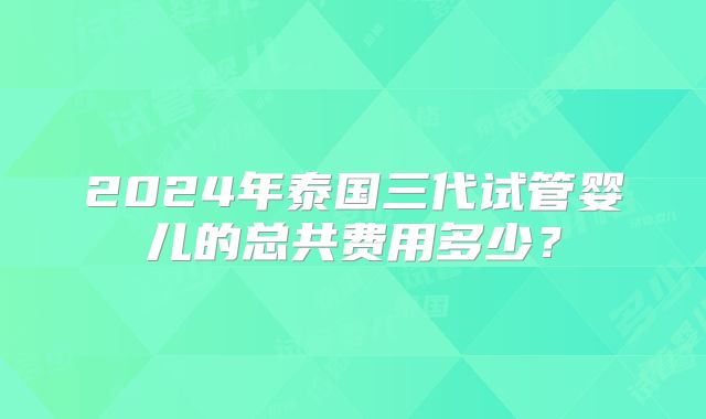 2024年泰国三代试管婴儿的总共费用多少？