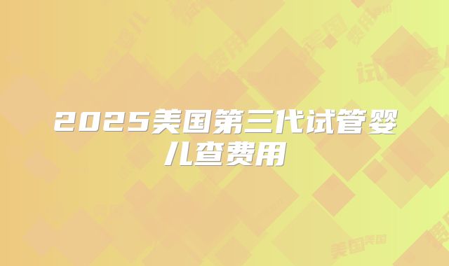 2025美国第三代试管婴儿查费用
