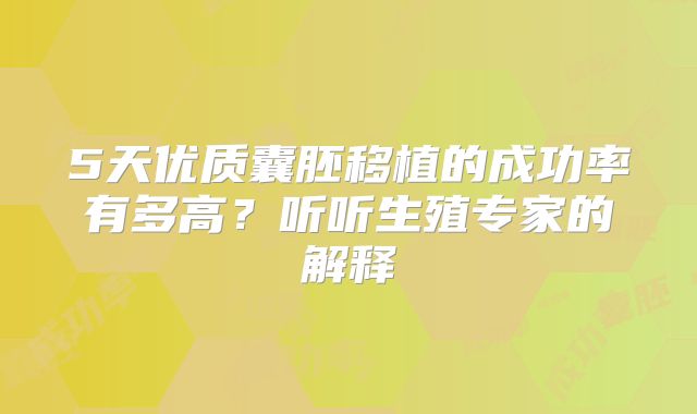 5天优质囊胚移植的成功率有多高？听听生殖专家的解释