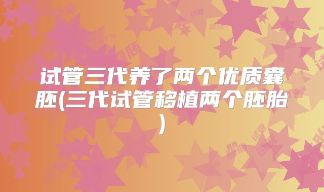 试管三代养了两个优质囊胚(三代试管移植两个胚胎)