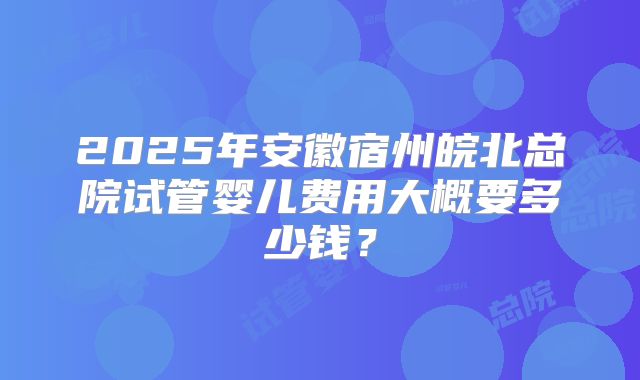 2025年安徽宿州皖北总院试管婴儿费用大概要多少钱？