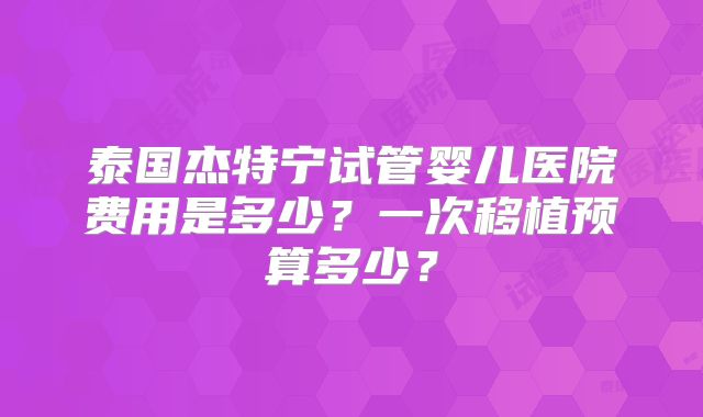 泰国杰特宁试管婴儿医院费用是多少？一次移植预算多少？