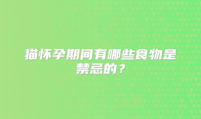 猫怀孕期间有哪些食物是禁忌的？