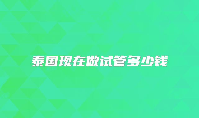 泰国现在做试管多少钱