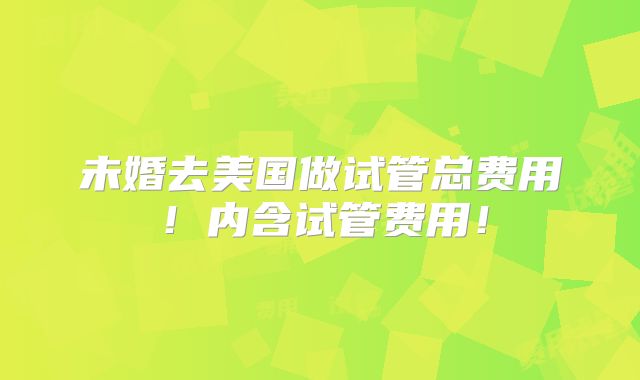 未婚去美国做试管总费用！内含试管费用！