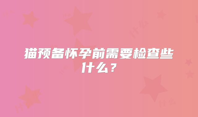 猫预备怀孕前需要检查些什么?