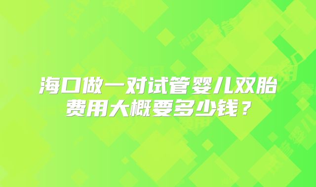 海口做一对试管婴儿双胎费用大概要多少钱?