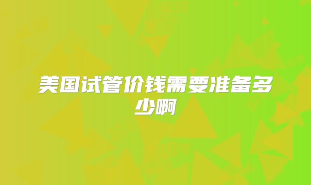 美国试管价钱需要准备多少啊